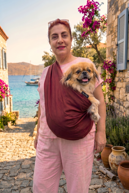 Vişne Yazlık Köpek Ana Kucağı