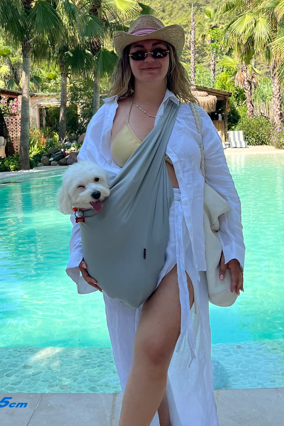 Açık Gri Yazlık Köpek Ana Kucağı